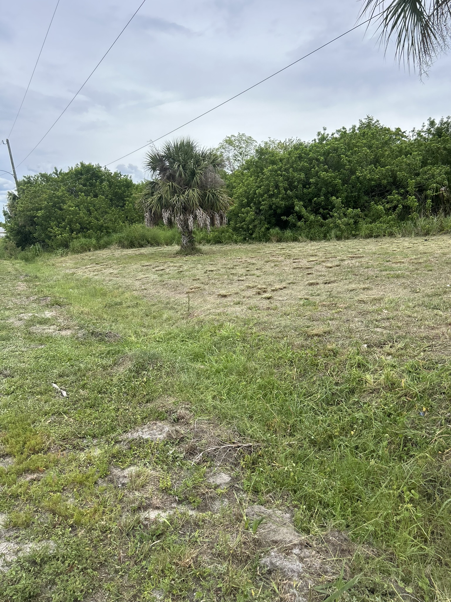 Side angle after mowing overgrown grass in North Port